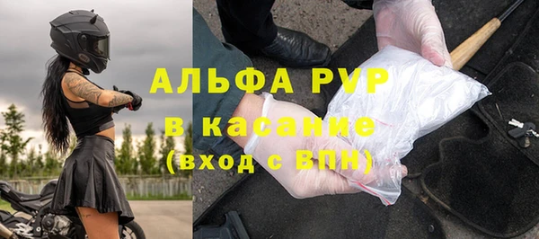 гашик Инта