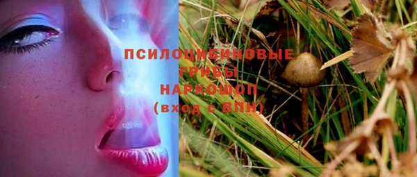 МДПВ Инсар