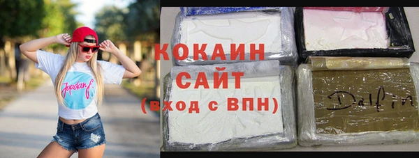 гашик Инта