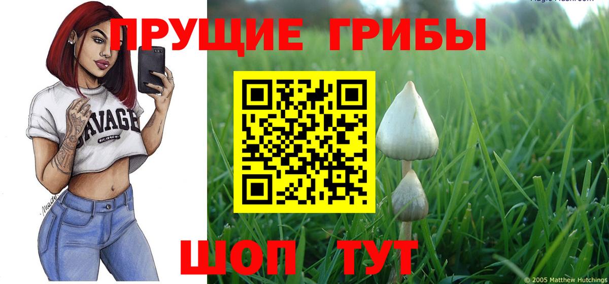 Галлюциногенные грибы Cubensis  Вход с VPN  Кемерово 