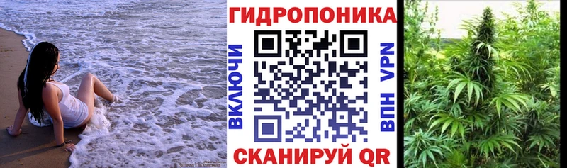Шишки марихуана Amnesia где купить Кемерово